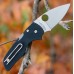 Нож складной Lil' Native - Spyderco 230GP, сталь Crucible CPM® S30V™ Satin Plain, рукоять стеклотекстолит G10, чёрный