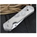 Складной нож Chris Reeve Large Sebenza ChR/L21CGGDrop